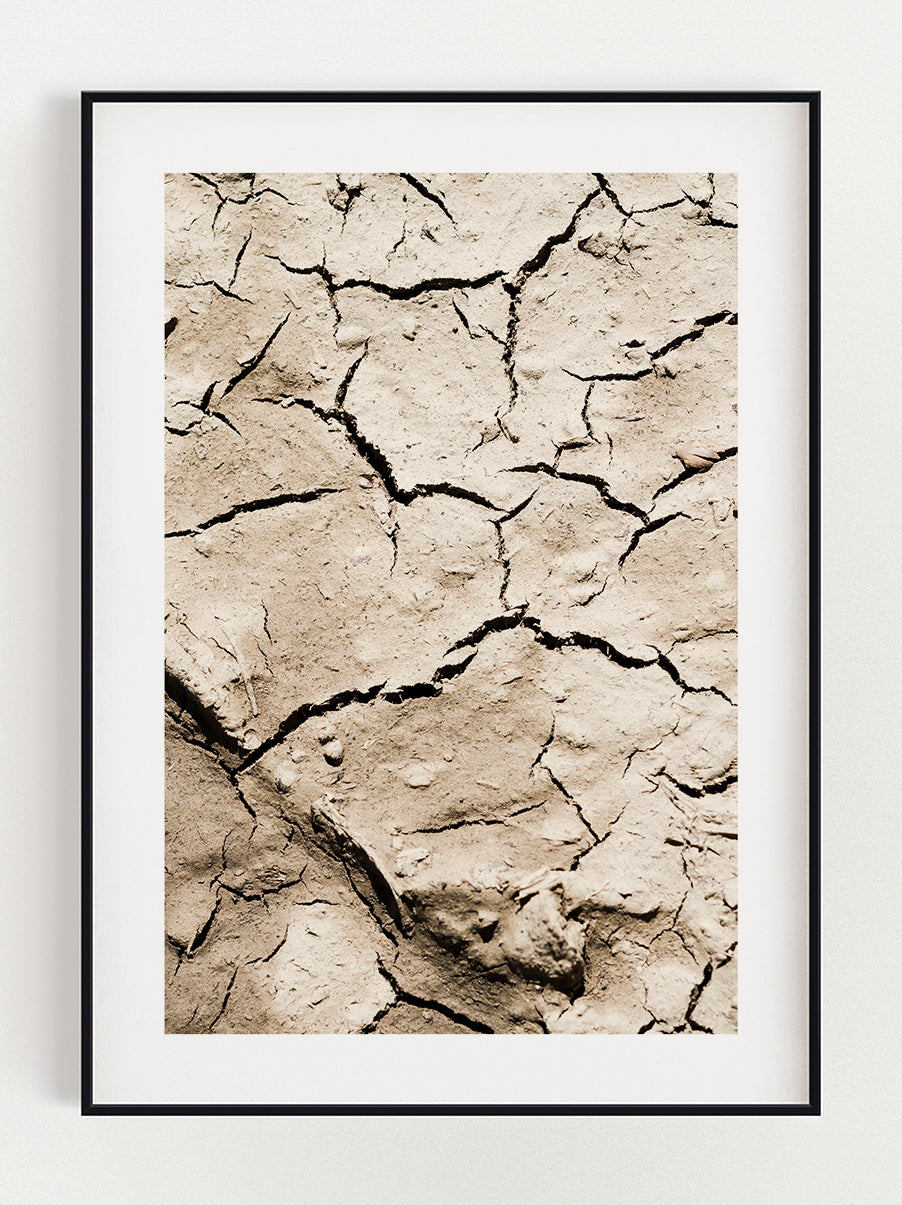 Desert Ground Poster-0