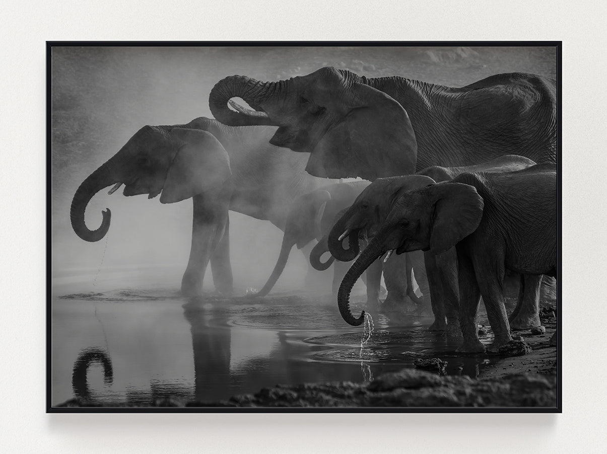 Drinking Elephants Poster-0