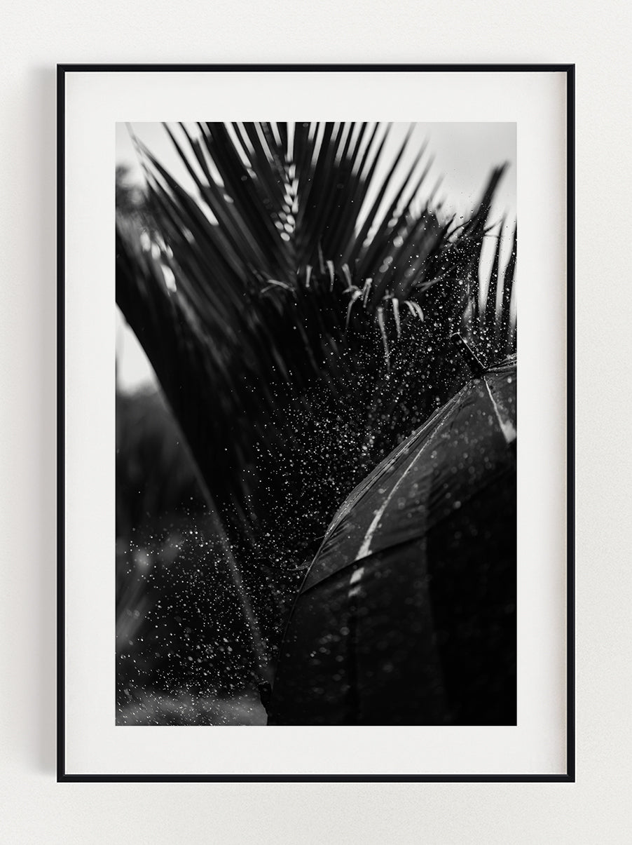 Refreshing Palm Tree Poster-0