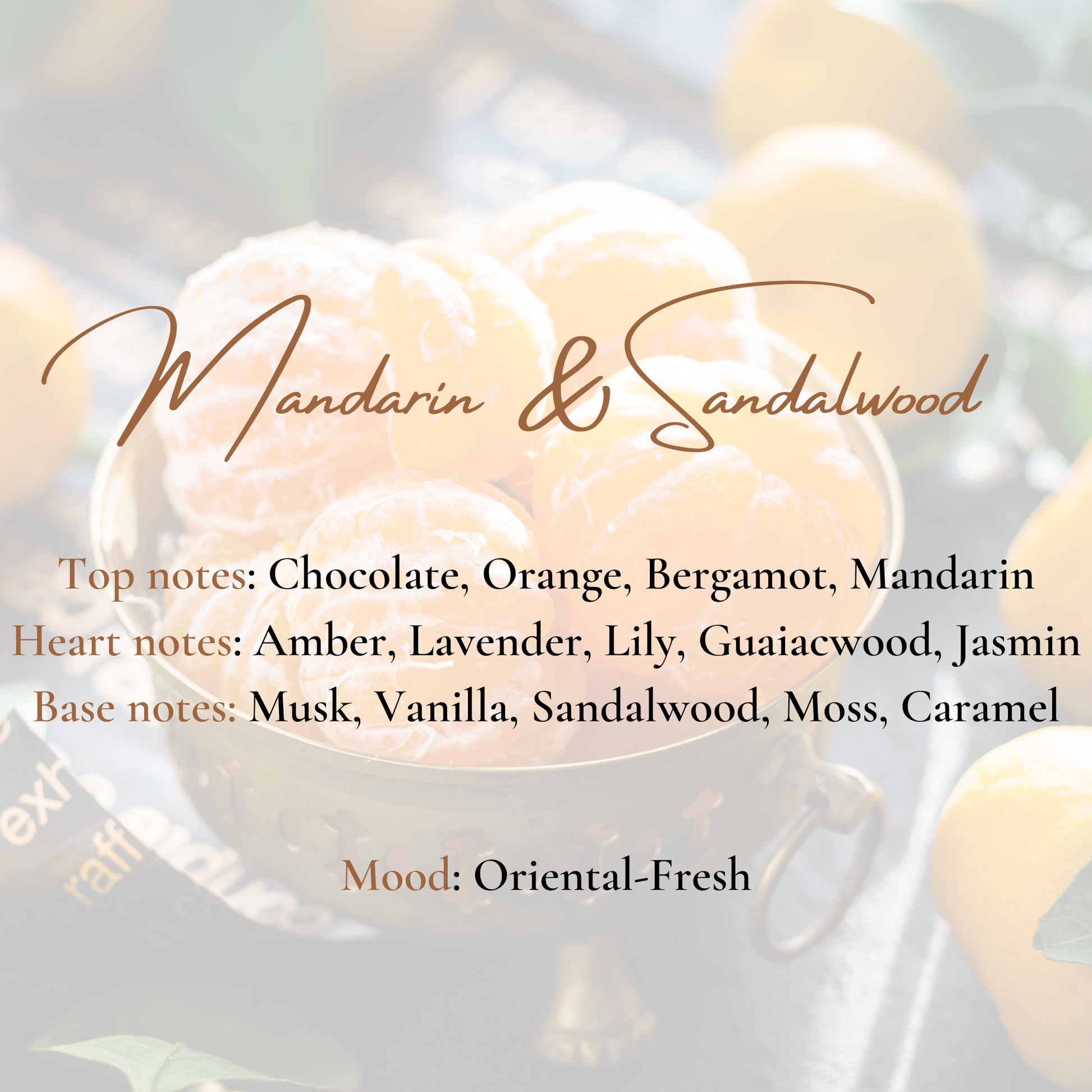Wild Instinct Collection-Mandarin & Sandalwood Scented Candle-4