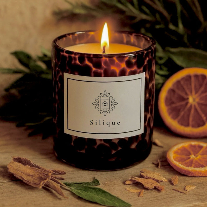 Wild Instinct Collection-Mandarin & Sandalwood Scented Candle-2
